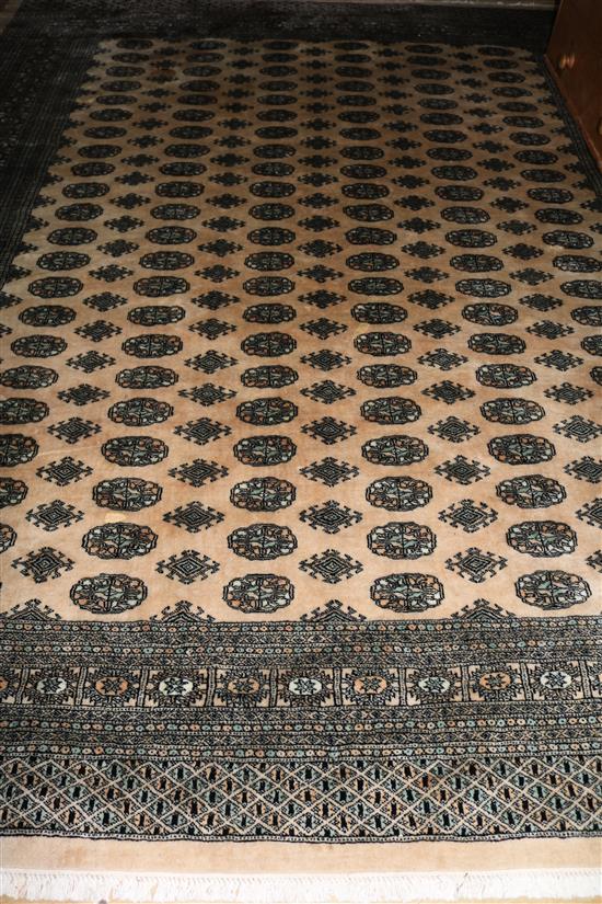 Medallion carpet